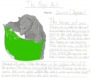 The Magic Art