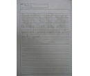 Guided Writing